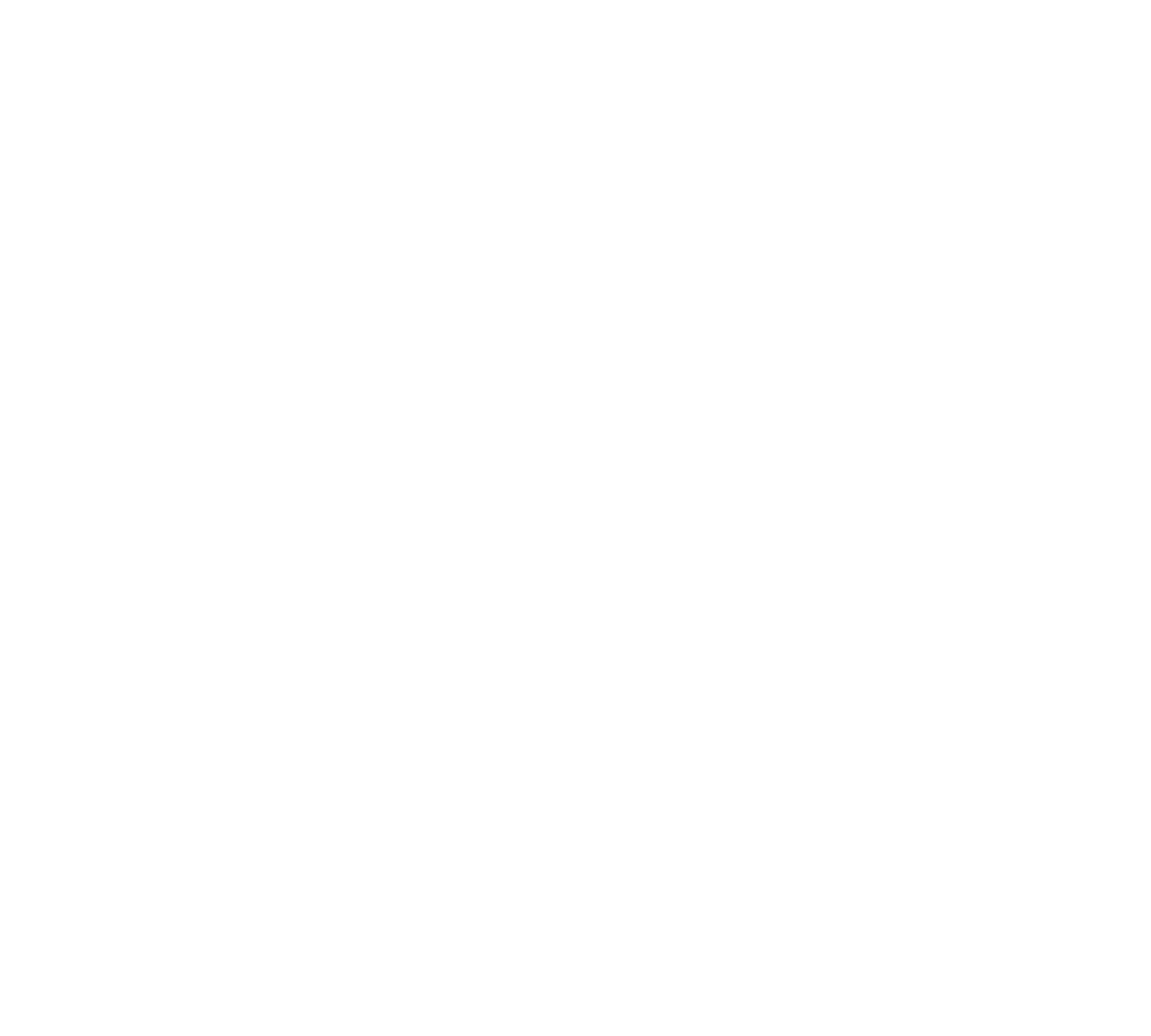 WEB TRANSPARENTE